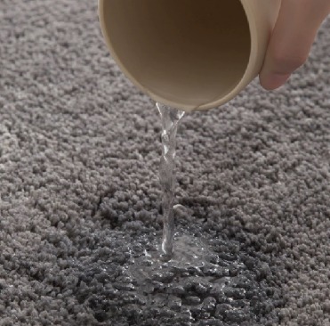 WhatsApp Image 2026-03-19 at 4.53.14 PM